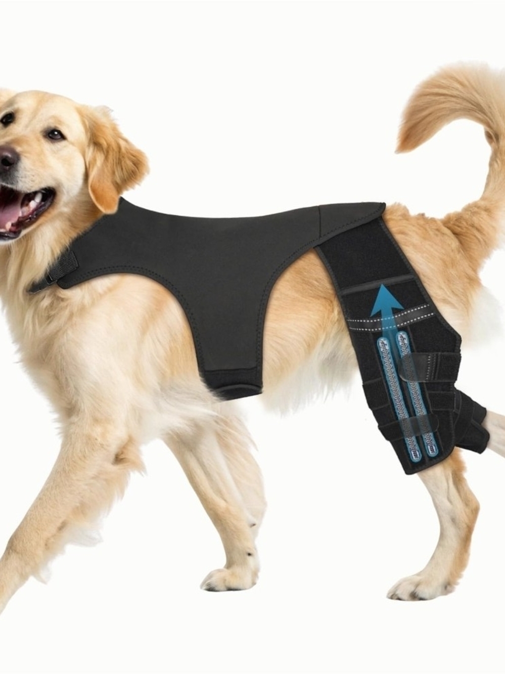 Dog Rear Leg Support Harness for Hip & Joint Stability Torn ACL - Black
